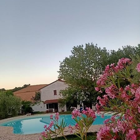 Agriturismo La Locandiera Монтемерано Екстериор снимка