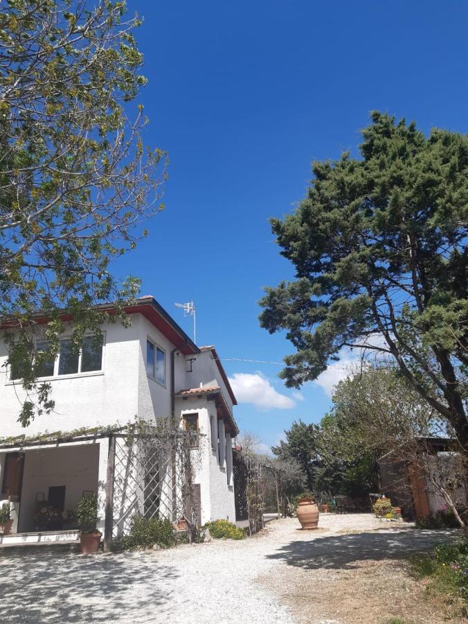 Agriturismo La Locandiera Монтемерано Екстериор снимка