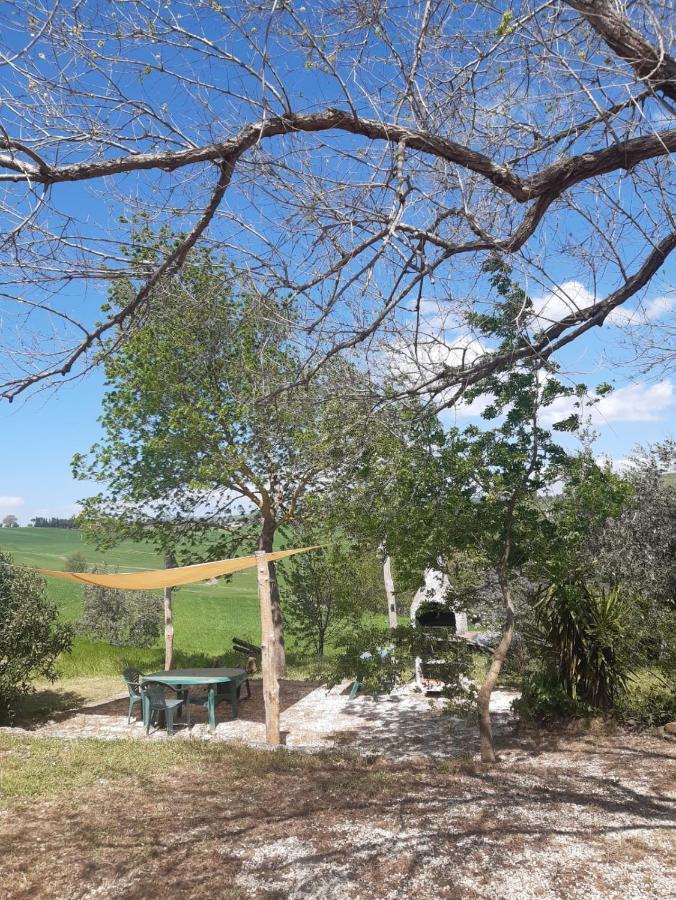 Agriturismo La Locandiera Монтемерано Екстериор снимка