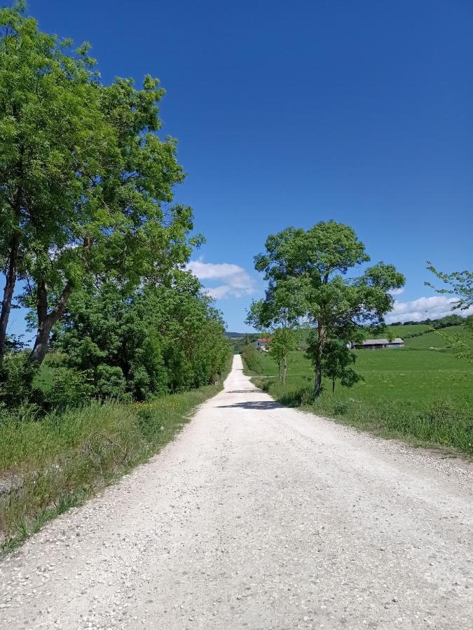 Agriturismo La Locandiera Монтемерано Екстериор снимка