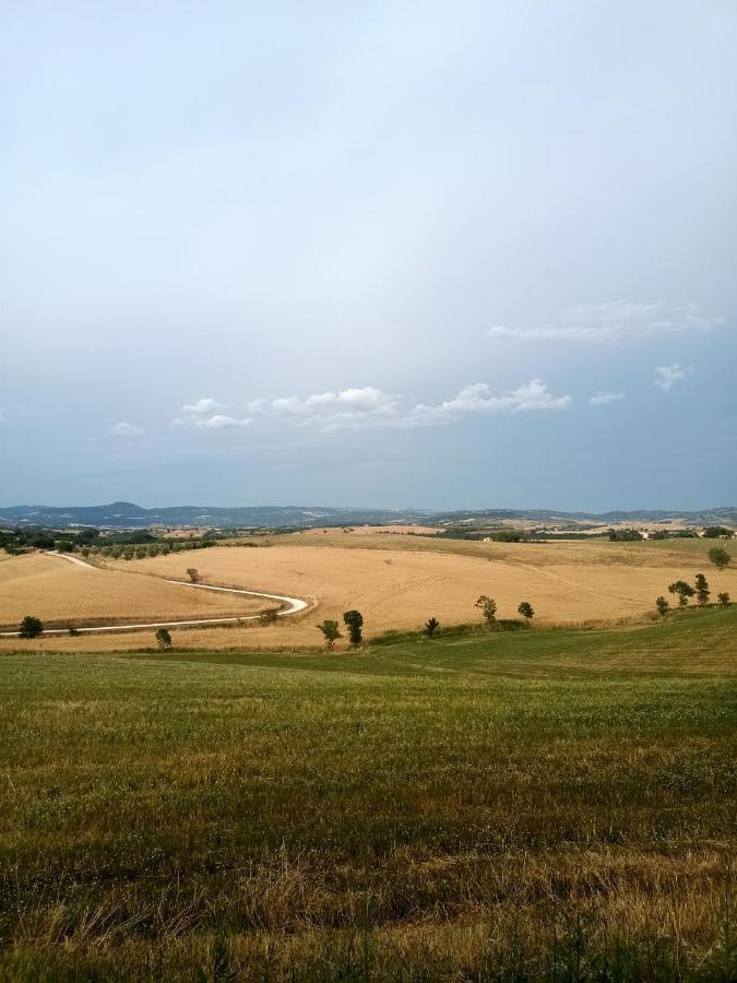 Agriturismo La Locandiera Монтемерано Екстериор снимка