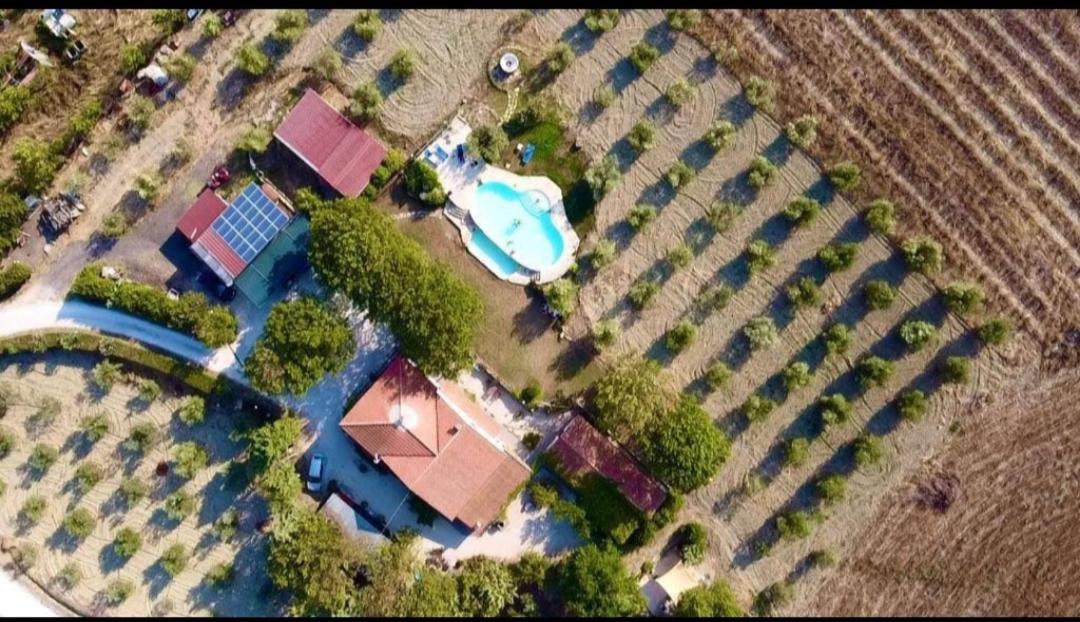 Agriturismo La Locandiera Монтемерано Екстериор снимка
