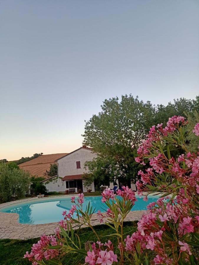 Agriturismo La Locandiera Монтемерано Екстериор снимка