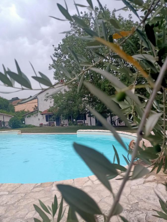 Agriturismo La Locandiera Монтемерано Екстериор снимка