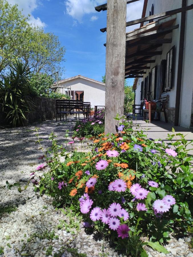Agriturismo La Locandiera Монтемерано Екстериор снимка