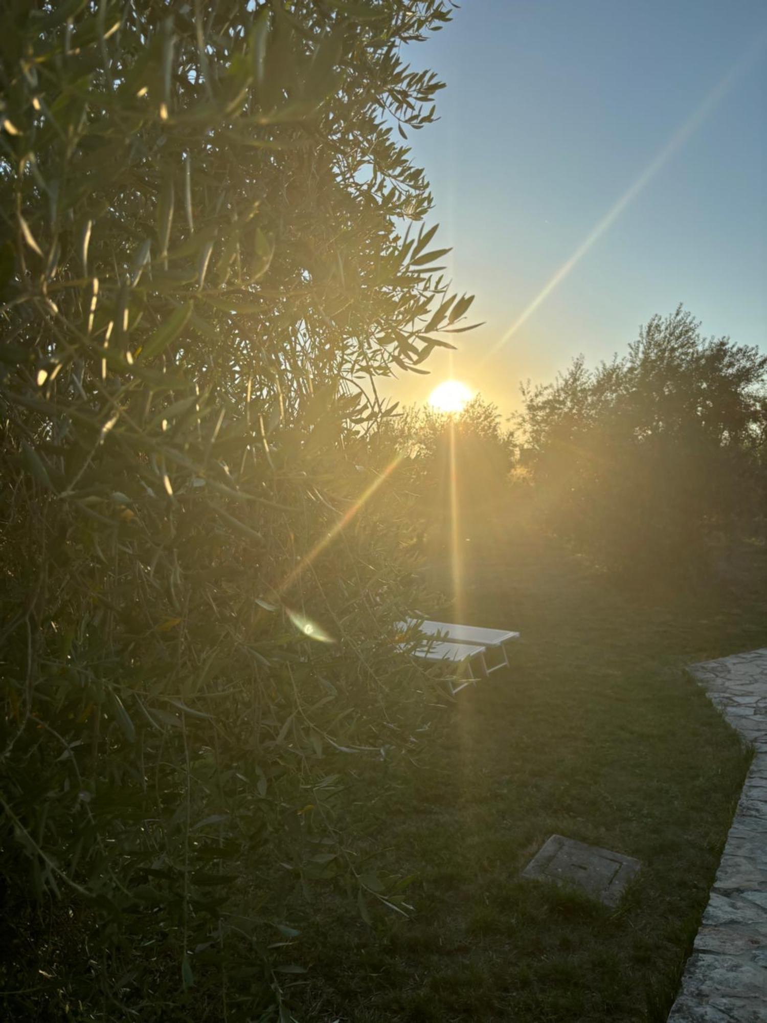 Agriturismo La Locandiera Монтемерано Екстериор снимка